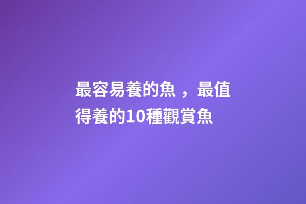 最容易養的魚，最值得養的10種觀賞魚-第1張-觀點-玄機派